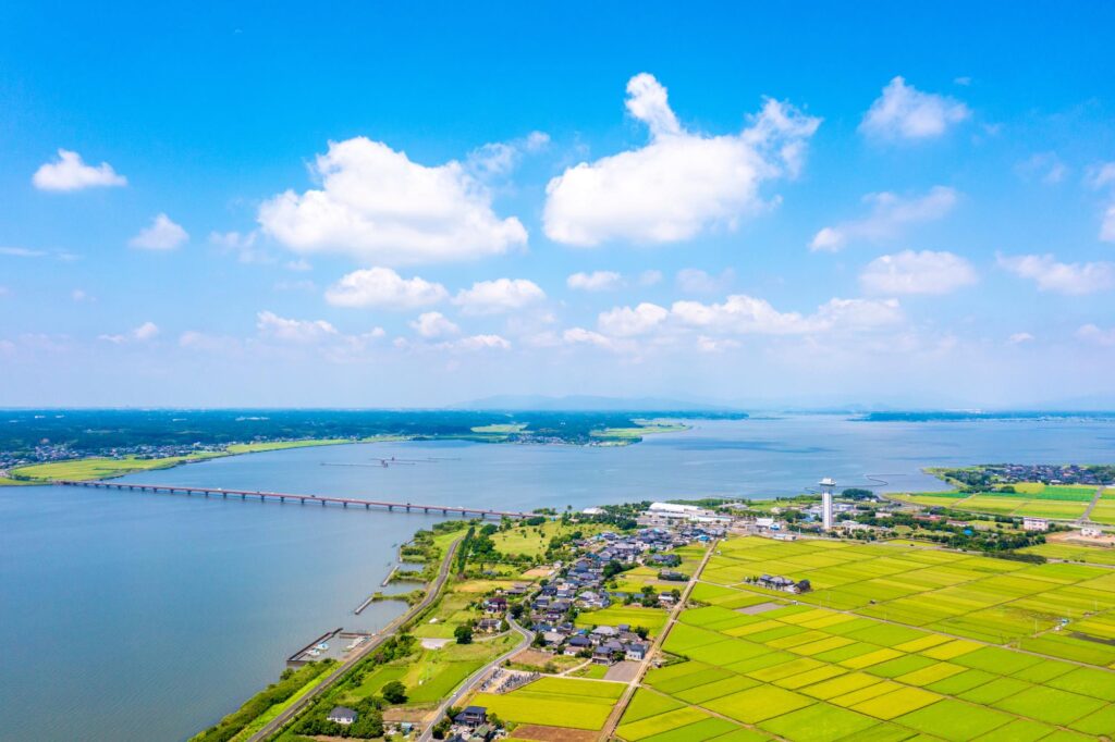 霞ヶ浦を半周する湖畔絶景ドライブ｜潮来・佐原あやめロード