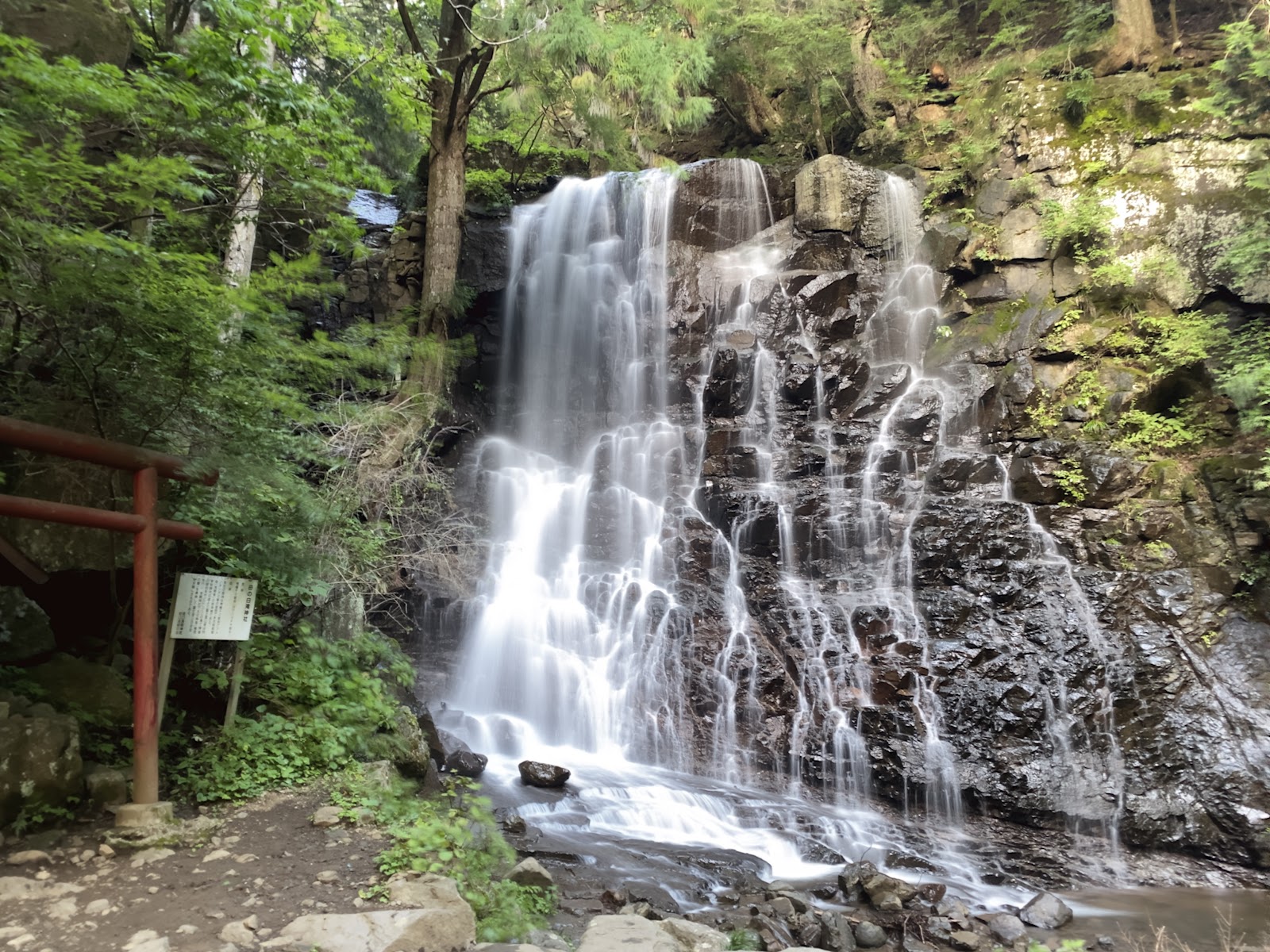 富士五湖を駆ける絶景ドライブ｜河口湖から山中湖へ約19kmの湖畔路