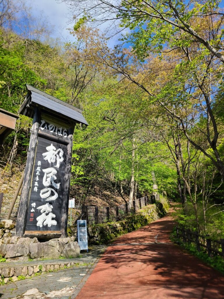 奥多摩周遊道路ドライブ｜東京の山岳ワインディングを走る