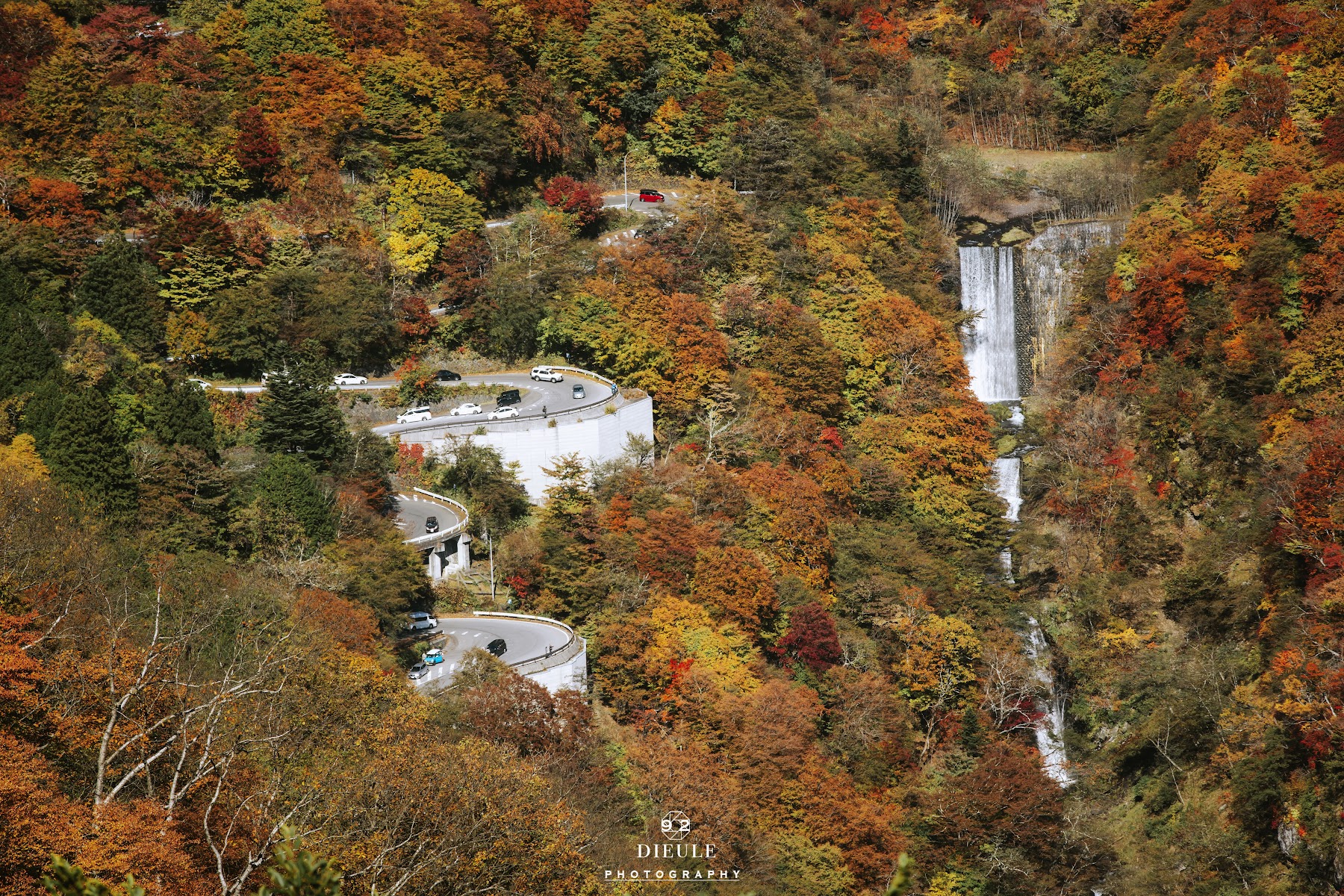 日光いろは坂を駆け上がれ！中禅寺湖・華厳の滝ワインディングドライブ