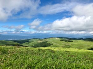ビーナスライン稜線ドライブ｜標高1,400mの絶景ワインディング54km