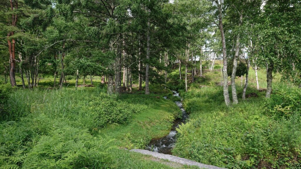 標高2,127mを駆け上がる絶景峠道｜メルヘン街道・麦草峠ドライブ