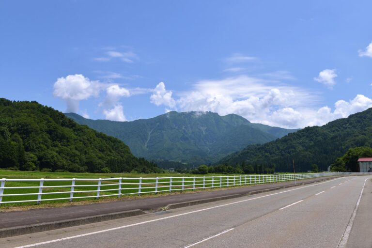 新潟