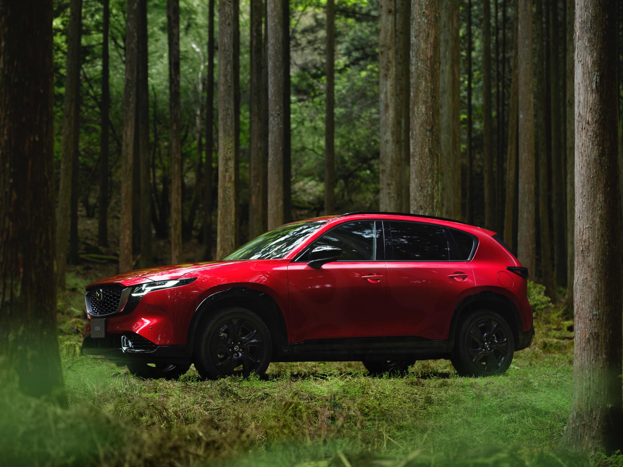 9年ぶり復活！2026年型MAZDA CX-5フルモデルチェンジ｜注目の新機能と進化ポイントを総まとめ