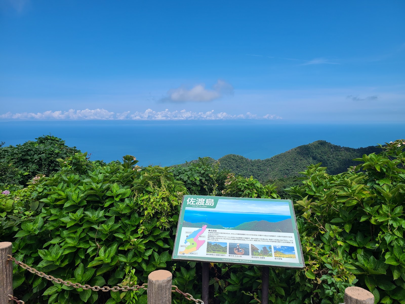 弥彦山 パノラマタワー