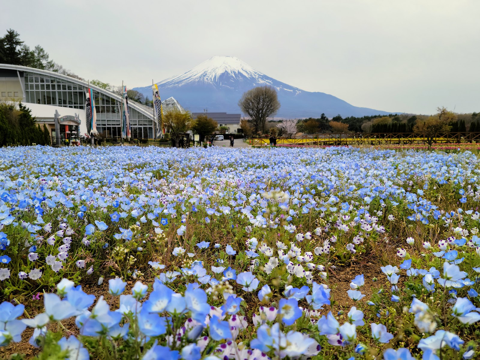 花の都公園