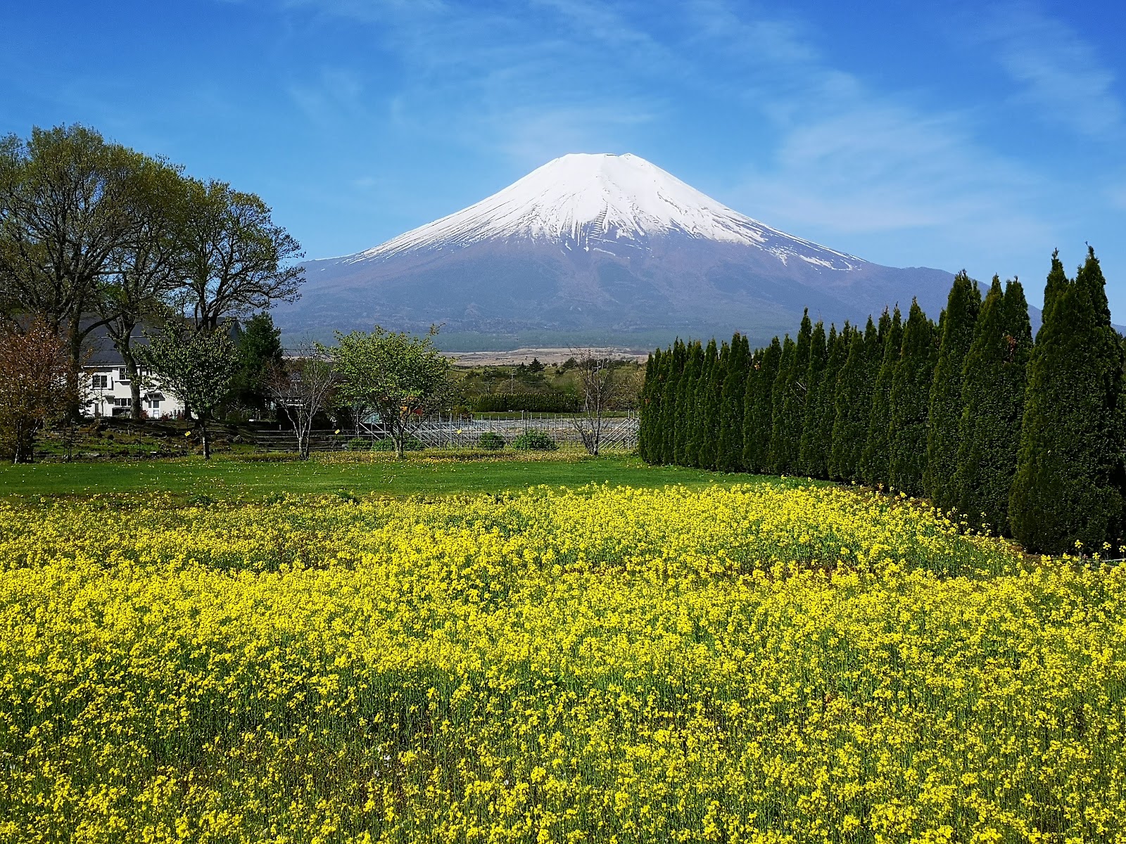 花の都公園