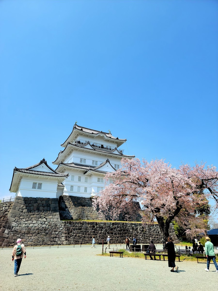 小田原城