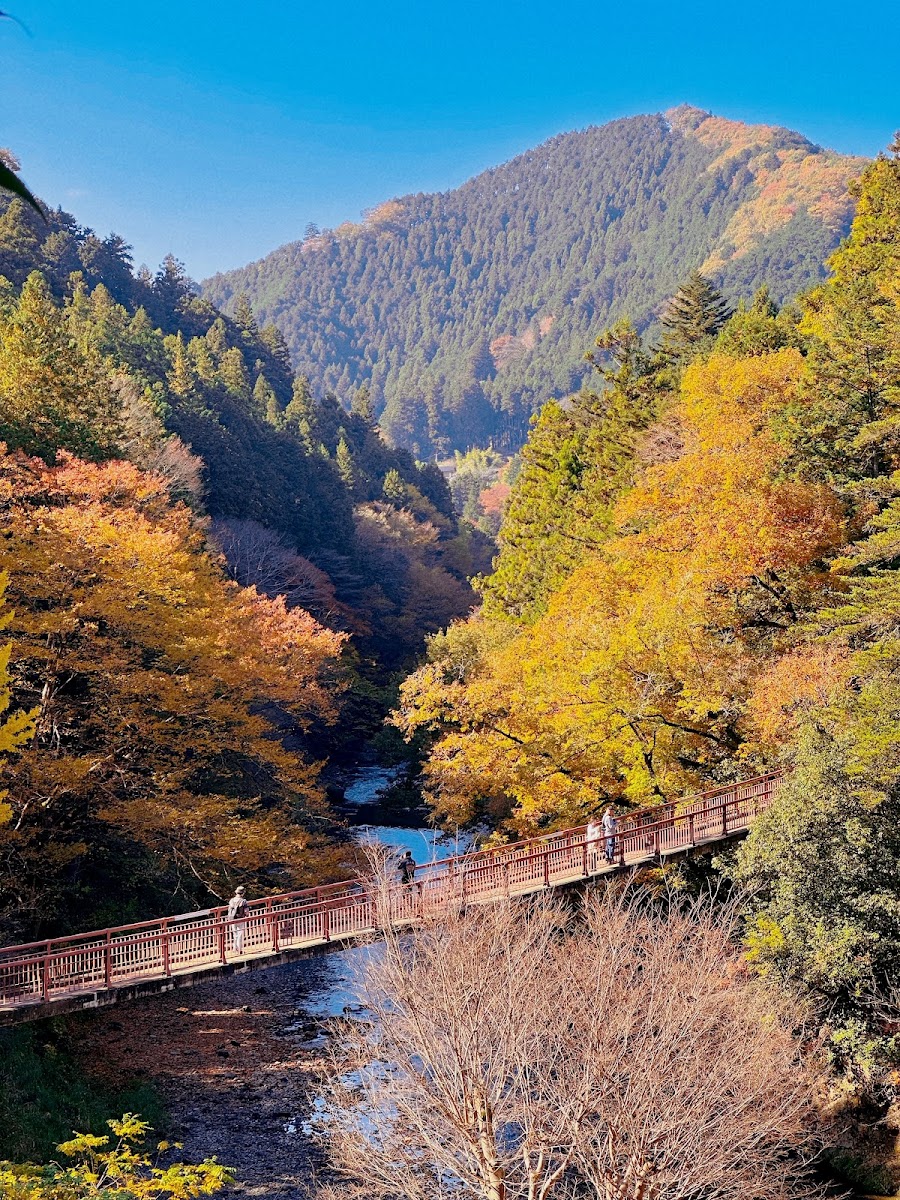 秋川渓谷