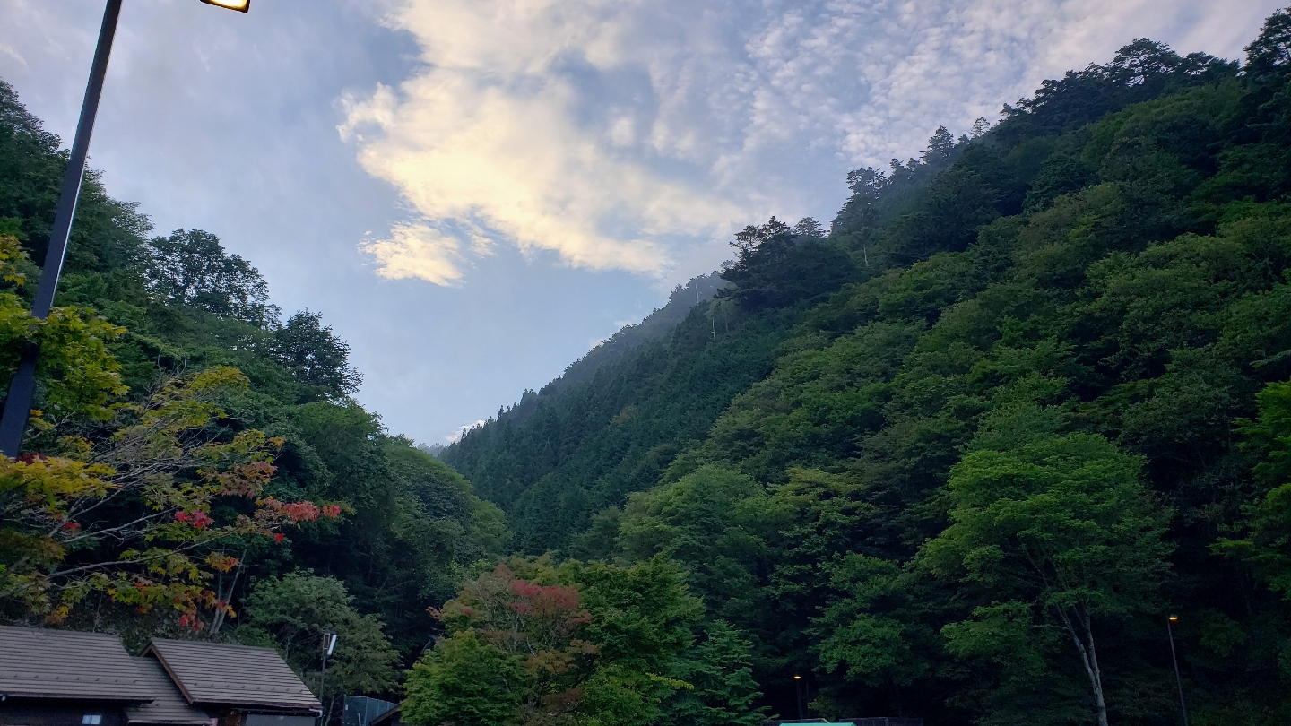 檜原都民の森