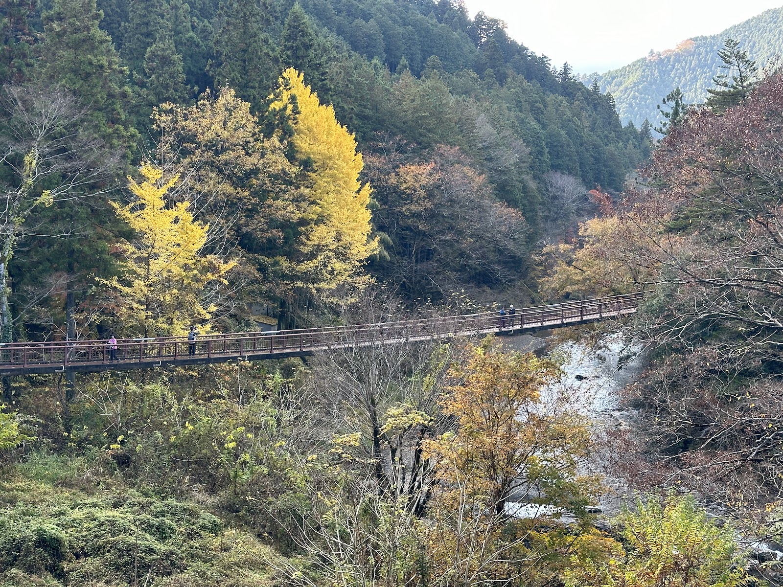 秋川渓谷