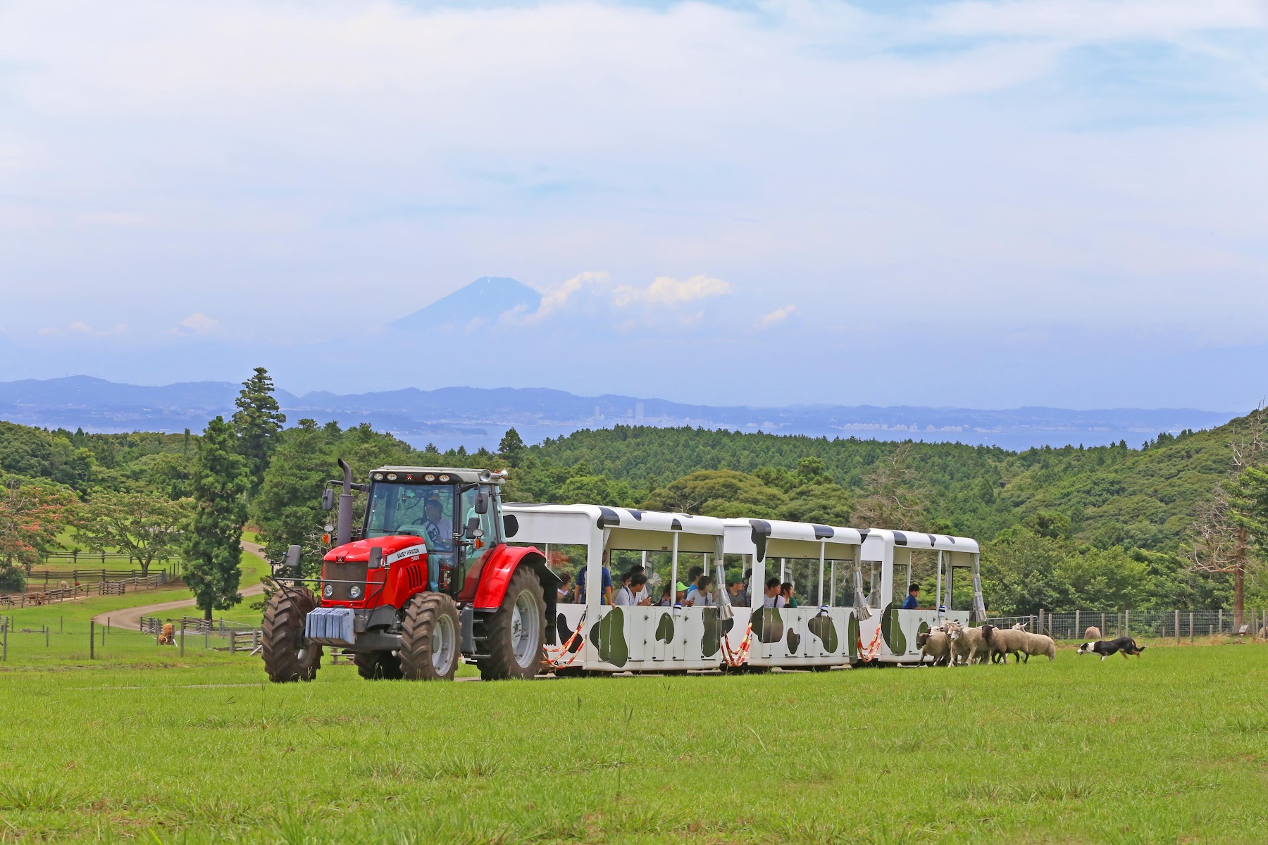 マザー牧場