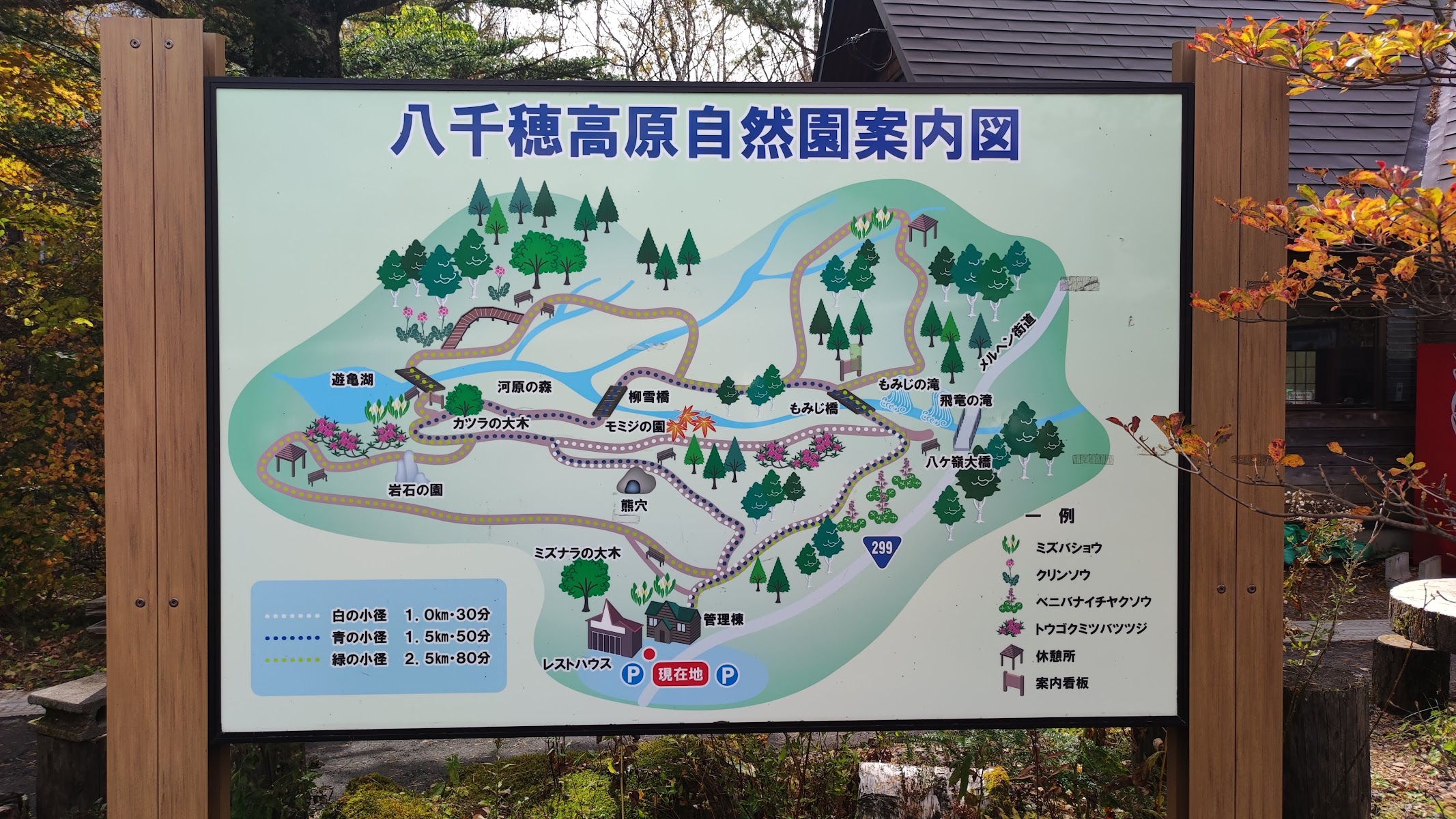 八千穂高原自然園