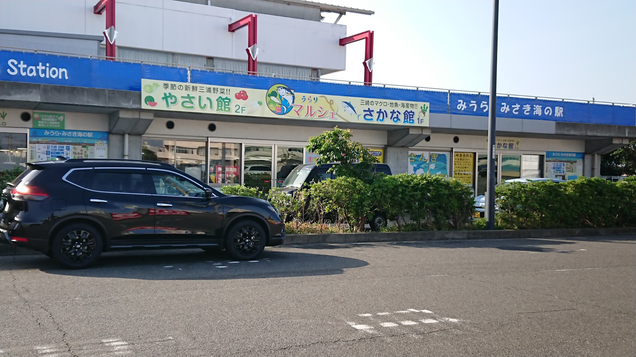 うらり（三崎港直売センター）