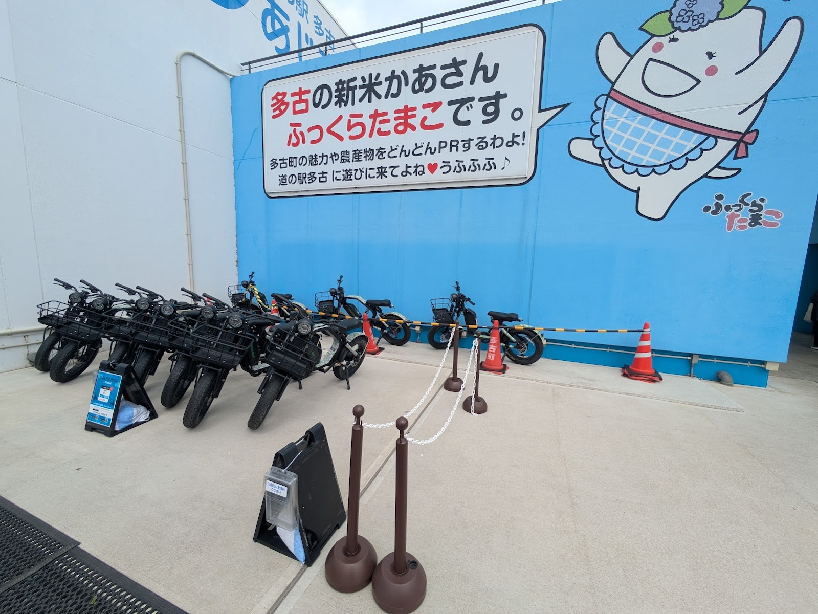 道の駅 多古 あじさい館