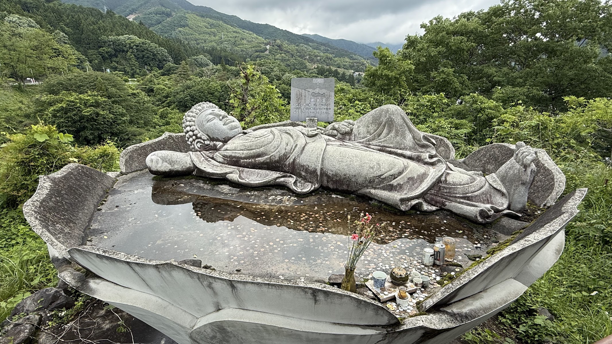 草木ドライブイン