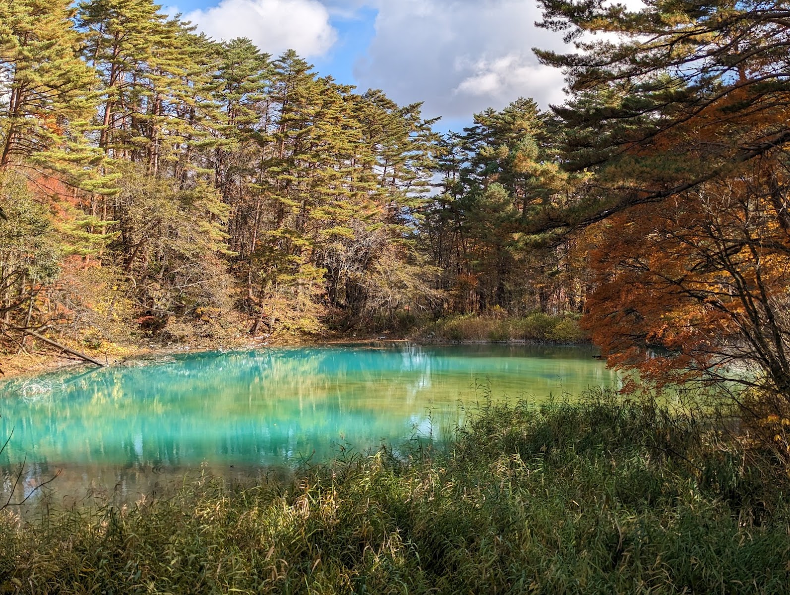 五色沼湖沼群