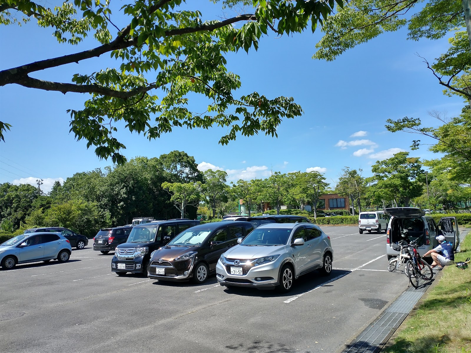 霞ヶ浦総合公園・テニスコート駐車場