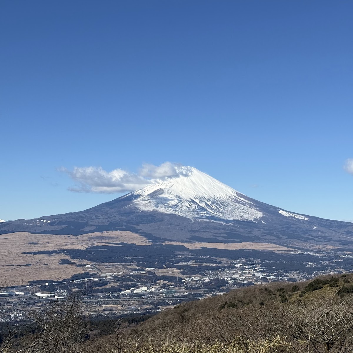 富士見ヶ丘公園