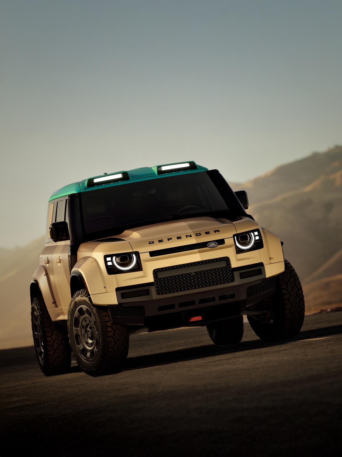 DEFENDER DAKAR のリアビュー縦位置カット。マッドフラップとアンダーボディ・プロテクション